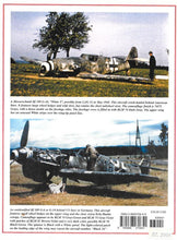 Load image into Gallery viewer, Luft - Augsburg's Last Eagles, Colors Markings and Variants, Eagle Files EF #3